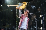 Dashboard Confessional performs at Marymoor Park. (Photo: Alex Crick)