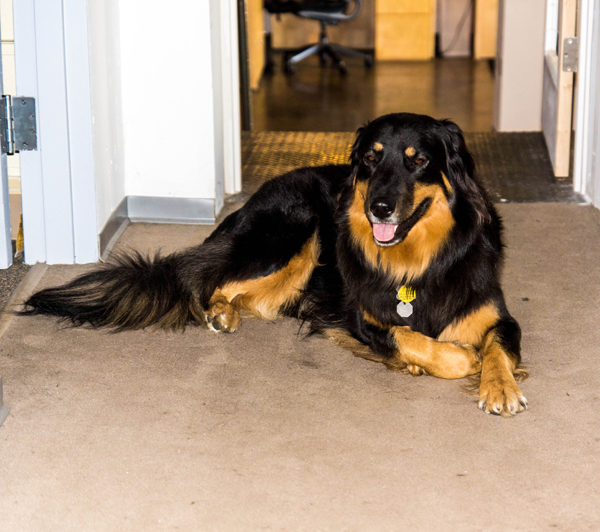 Behind the Scenes at JCS: The Worlds Greatest Dog (9/28/12) Photo by Greg Roth