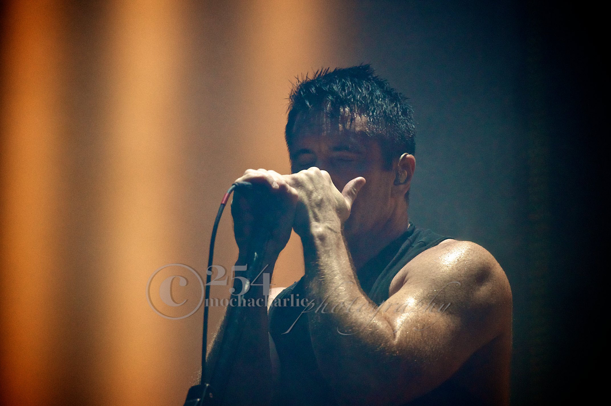 Nine Inch Nails at White River Ampitheatre (Photo by Mocha Charlie)
